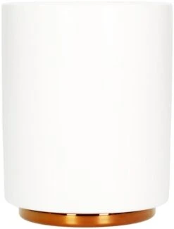 Fellow Monty Milk Art Cup 325 Ml (11 Oz)