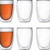 Bodum Pavina Double Wall Glass