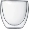 Bodum Pavina Double Wall Glass