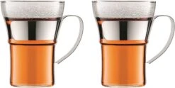 Bodum Assam Glass With Steel Handle 350 Ml, 2 Pcs